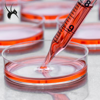 贴壁细胞培养（attachment culture）的优点