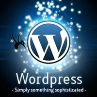 wordpress升级后加载缓慢s.w.org