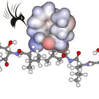 肿瘤标志物之癌抗原（Antigen）-125 (CA-125)意义