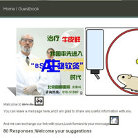 不使用插件在wordpress中制作独立留言板