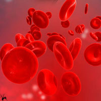 酸溶血试验介绍