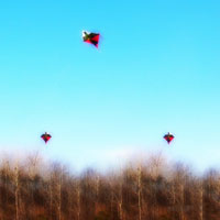 放飞梦想flash纸飞机logo