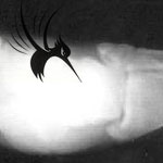 组织对X线照射的感受性