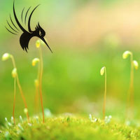 花样年华flash-logo