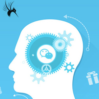 wordpress数据迁移后首页空白